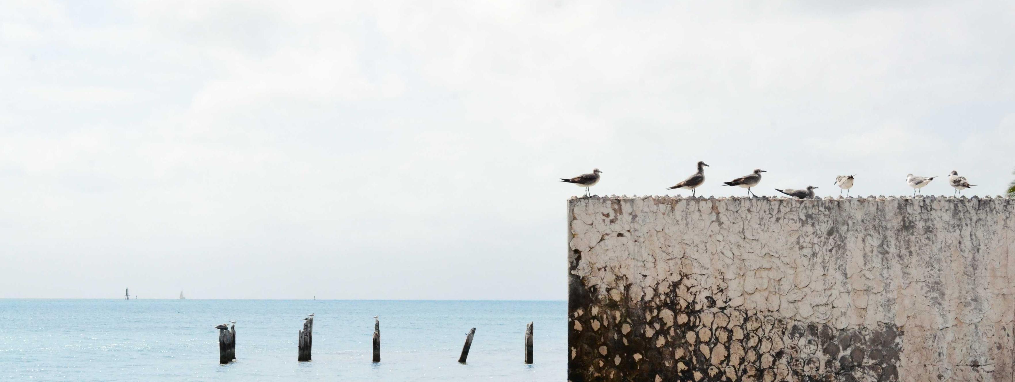 Gorgeous Jewelry باقة 2/25/2026, 4:24:37 AM