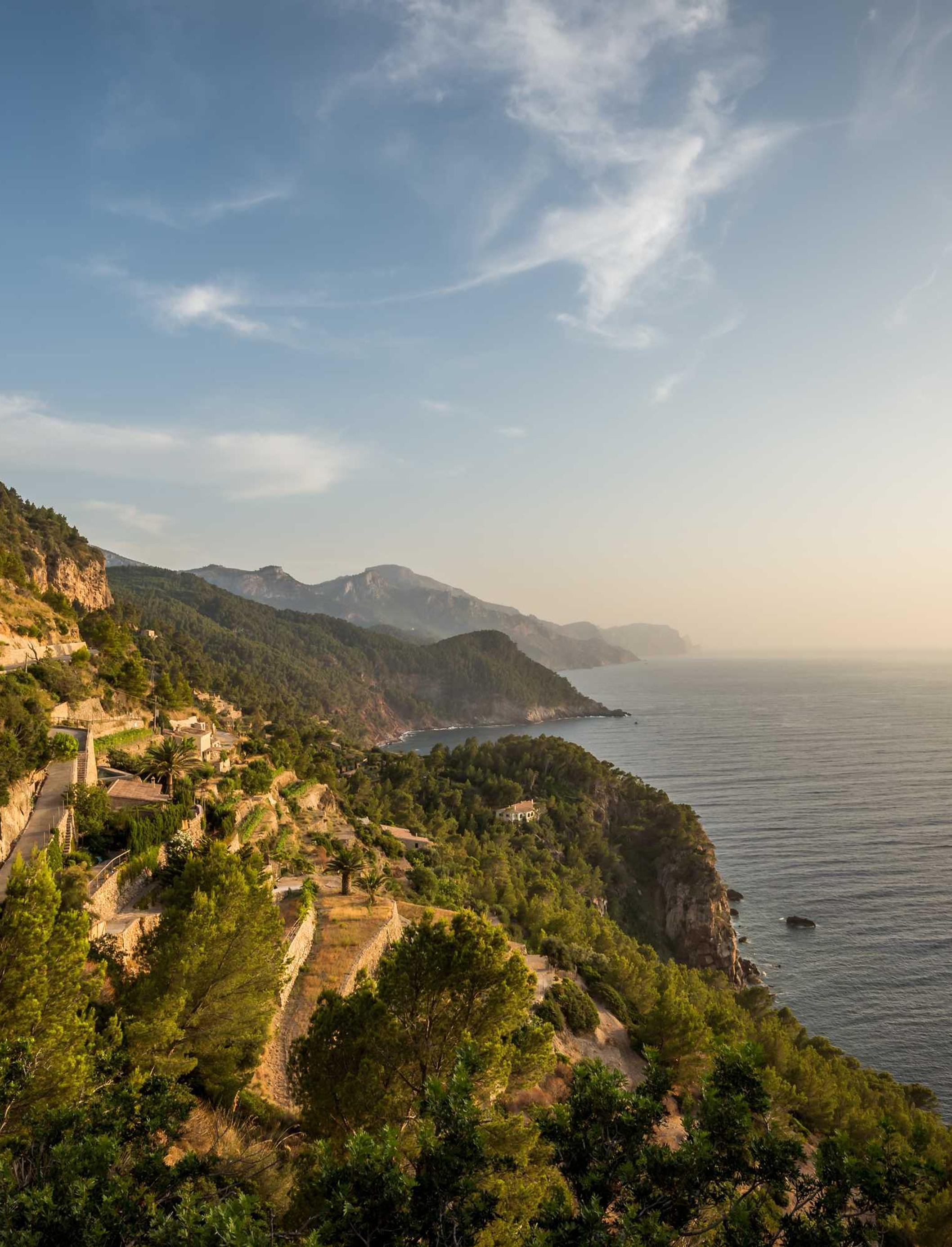 Luxurious Health باقة 2/25/2026, 4:24:36 AM