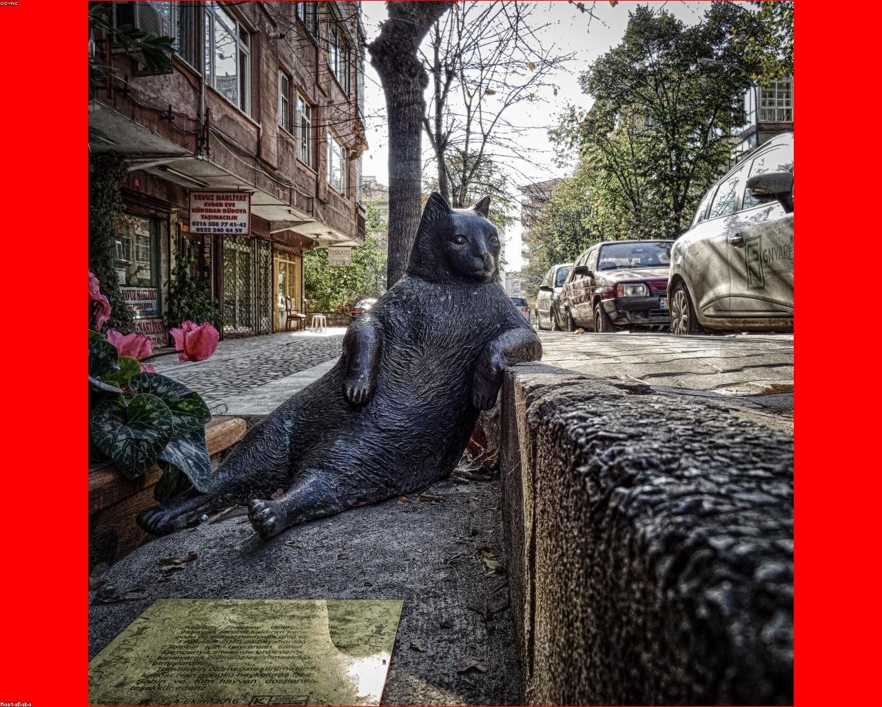 Generic Garden باقة 2/25/2026, 4:22:25 AM