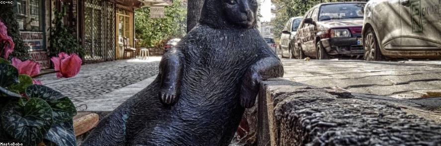 Generic Garden باقة 2/25/2026, 4:22:25 AM